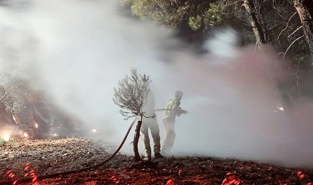 Çanakkale’deki Yangınlar Kontrol Altına Alındı: 700’den Fazla Kişi Tahliye Edildi, 4 Gözaltı