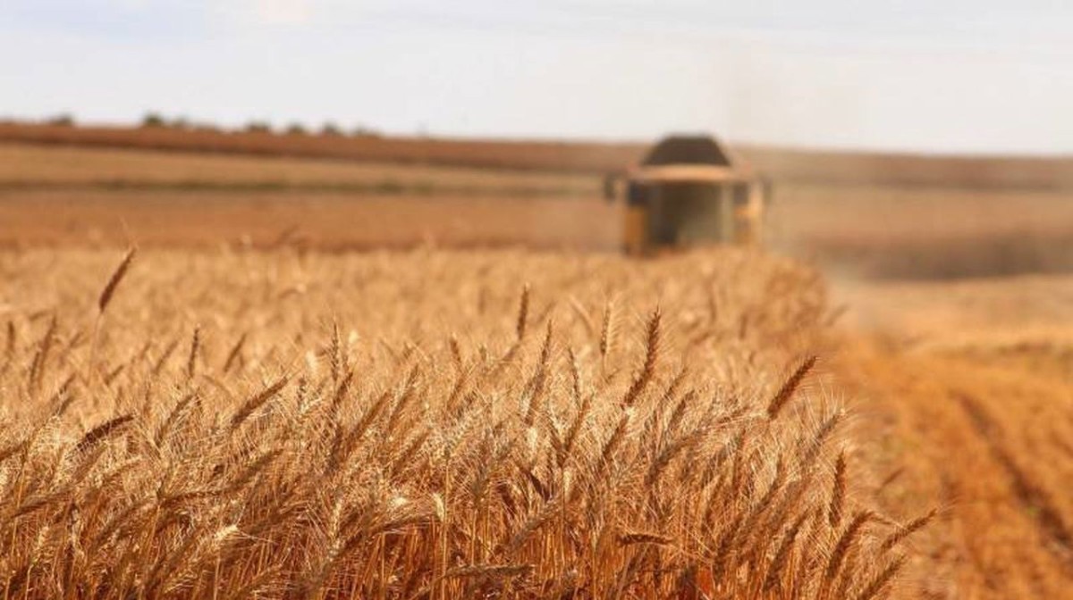 Çiftçiler için zorunlu Bağ-Kur sistemi