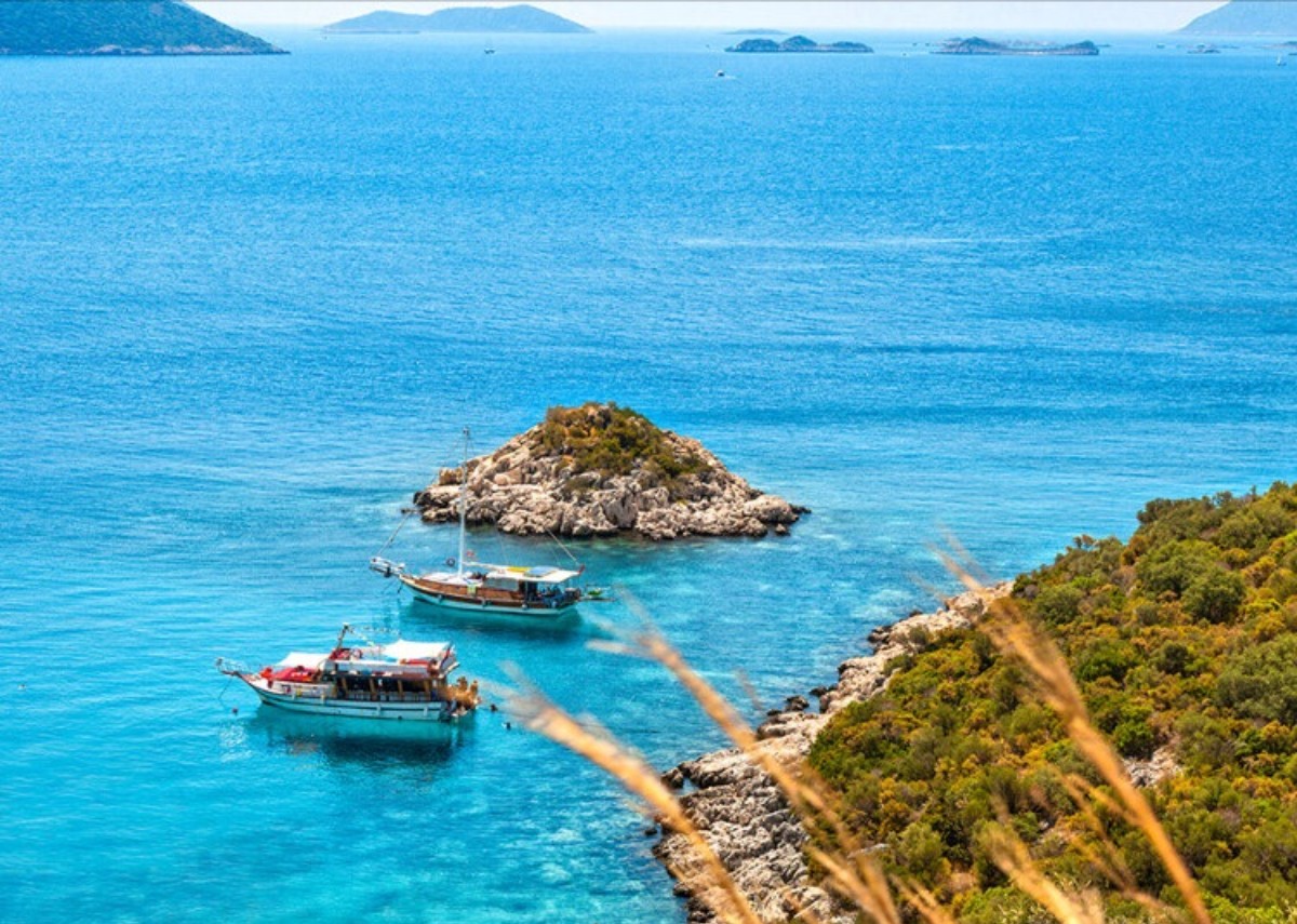 Hidayet Koyuna nasıl gidilir