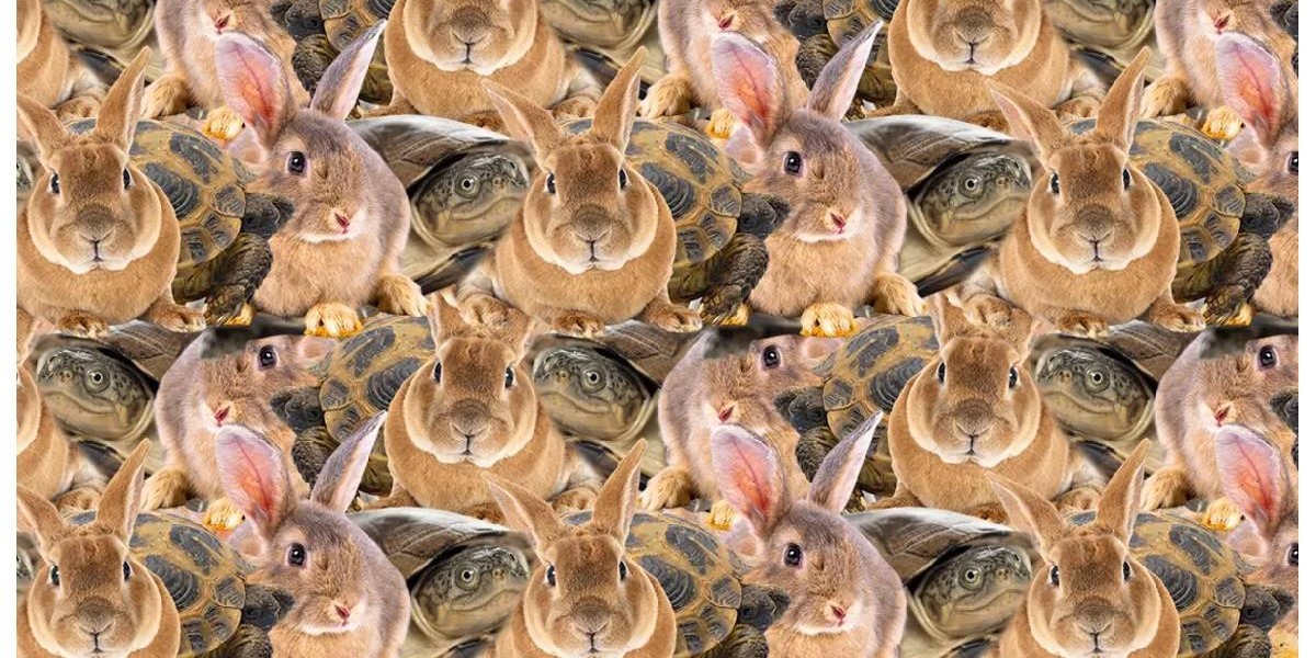 optik illüzyon dikkat testi