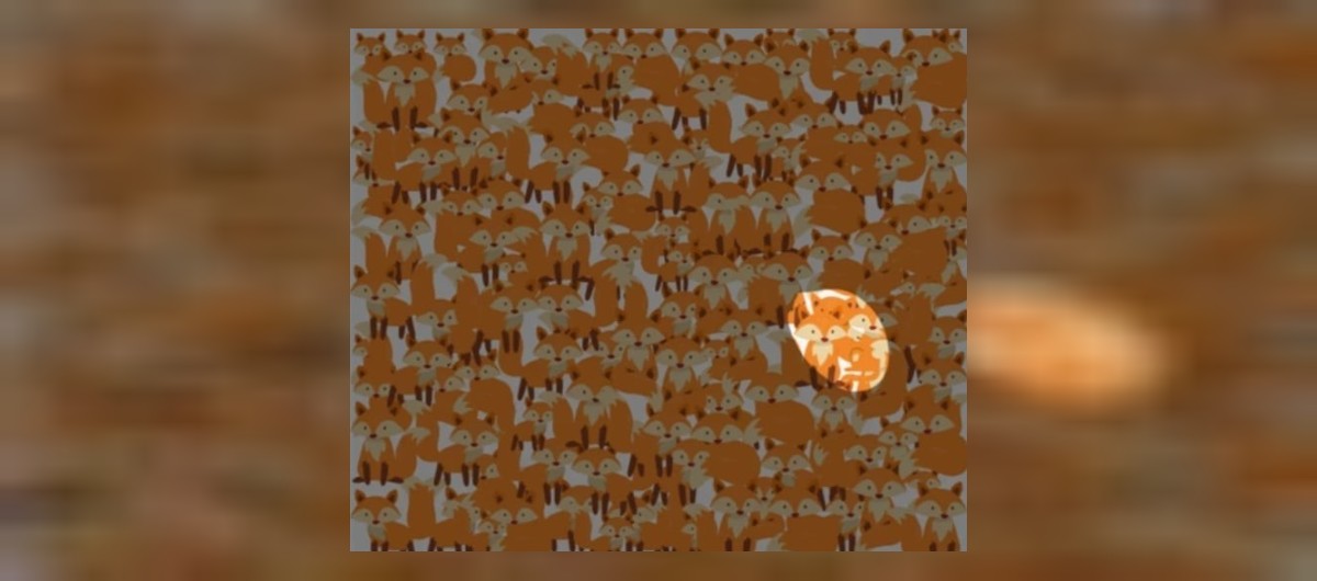 optik illüzyon test sonucu