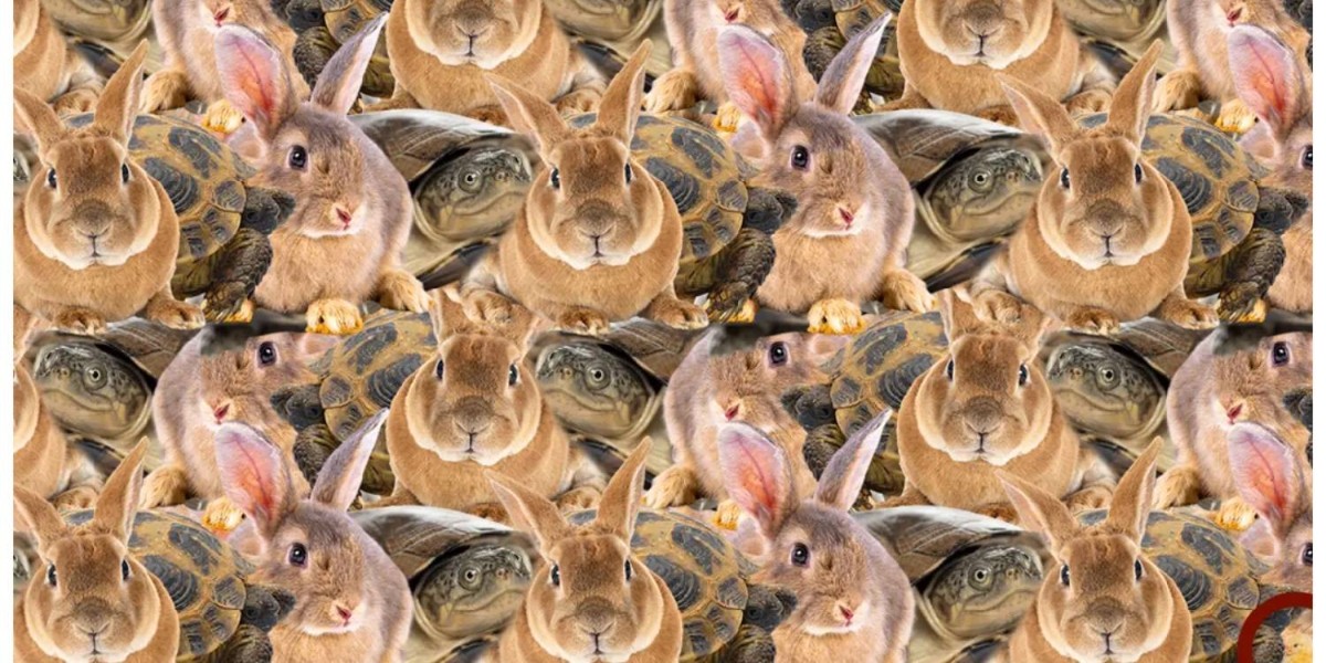 optik illüzyon test sonucu