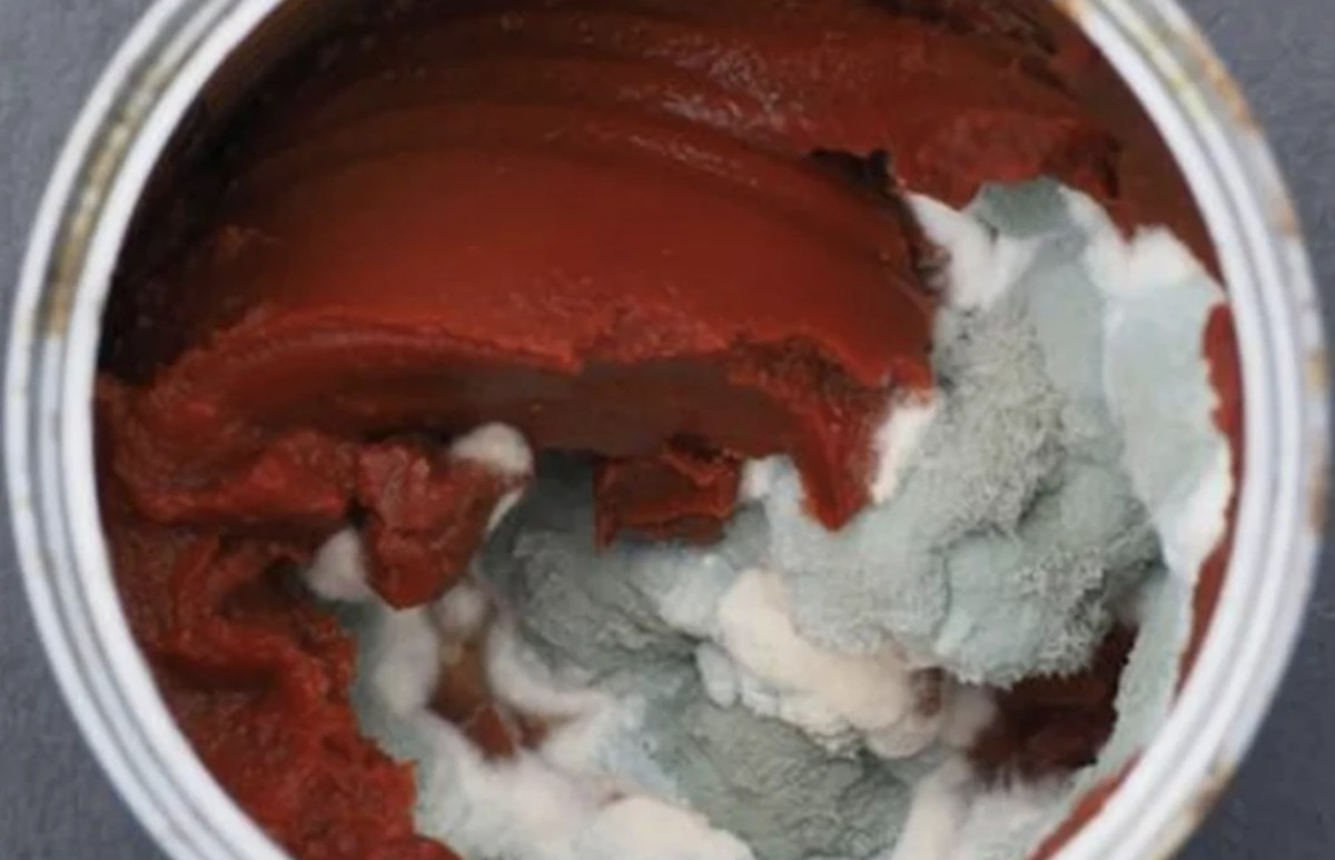 Salçaya zeytinyağı koymanın faydaları