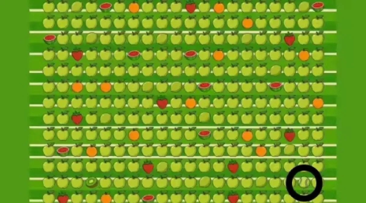 tenis topunu bulma testi çözümü