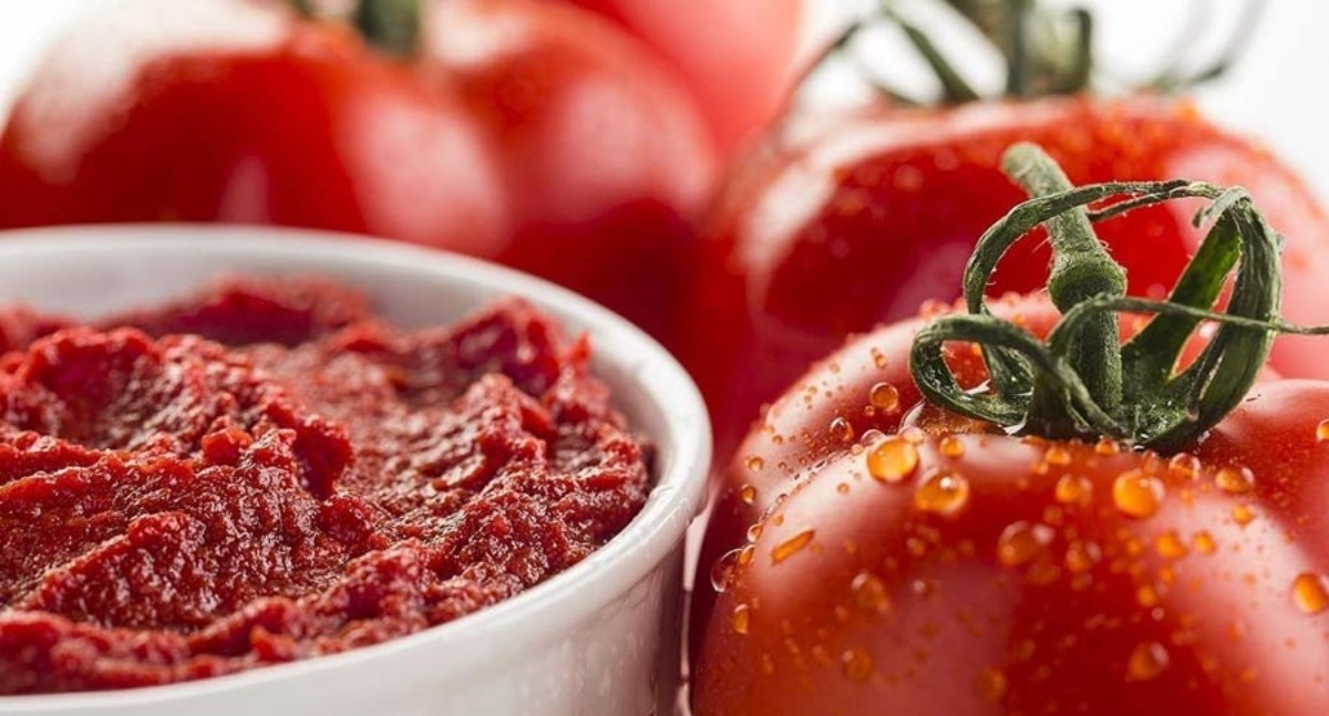 Zeytinyağı salçanın uzun süre bozulmasını önlüyor