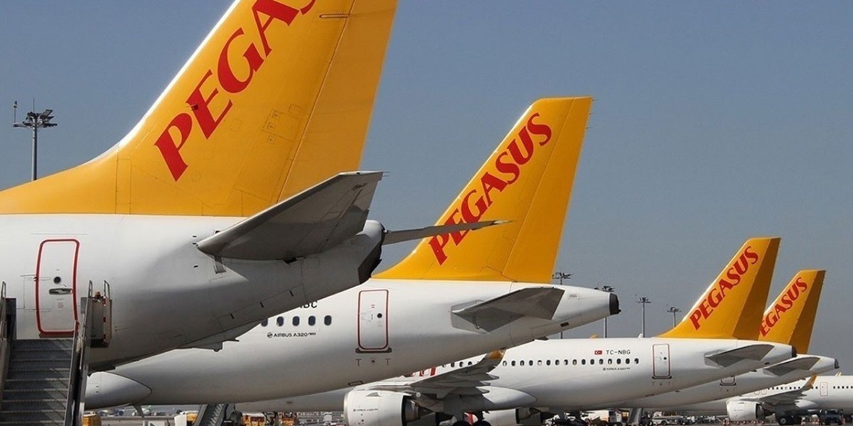 pegasus ucuz bilet kampanyası